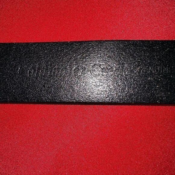 Cold water creek slide belt EUC - Picture 3 of 9